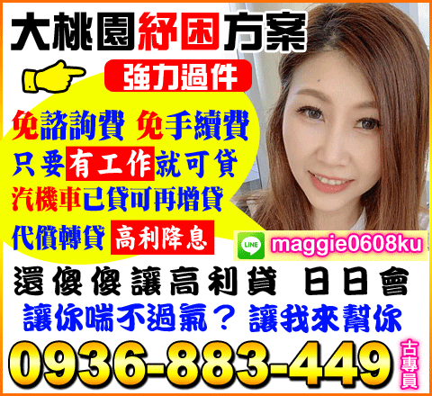 大桃園紓困方案